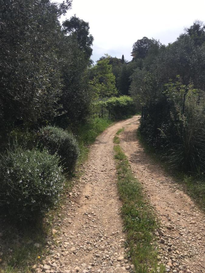 Cottage Pura Vigna Immerso Nella Natura Vicino Al Mare Porto Santo Stefano  Eksteriør billede