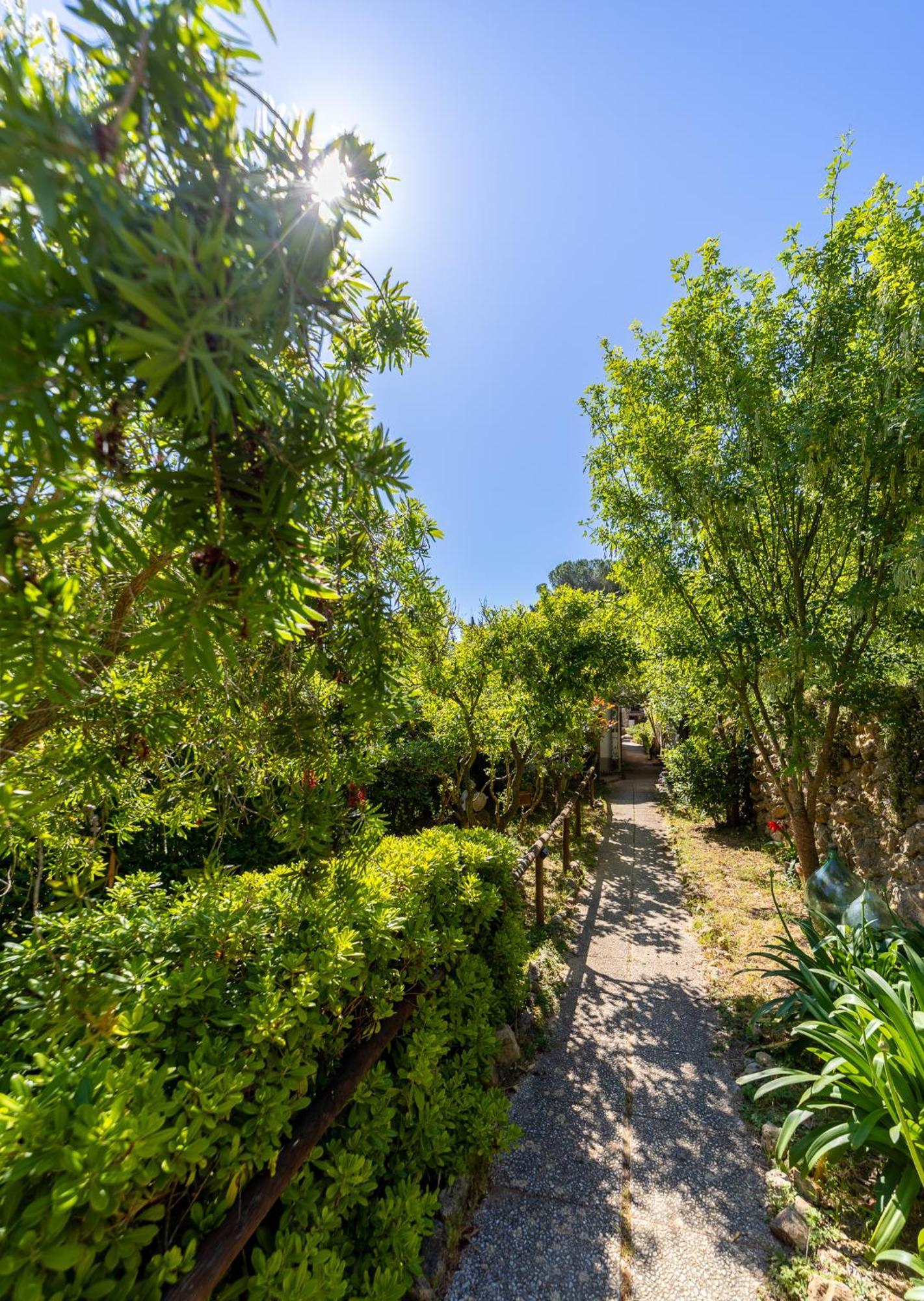 Cottage Pura Vigna Immerso Nella Natura Vicino Al Mare Porto Santo Stefano  Eksteriør billede