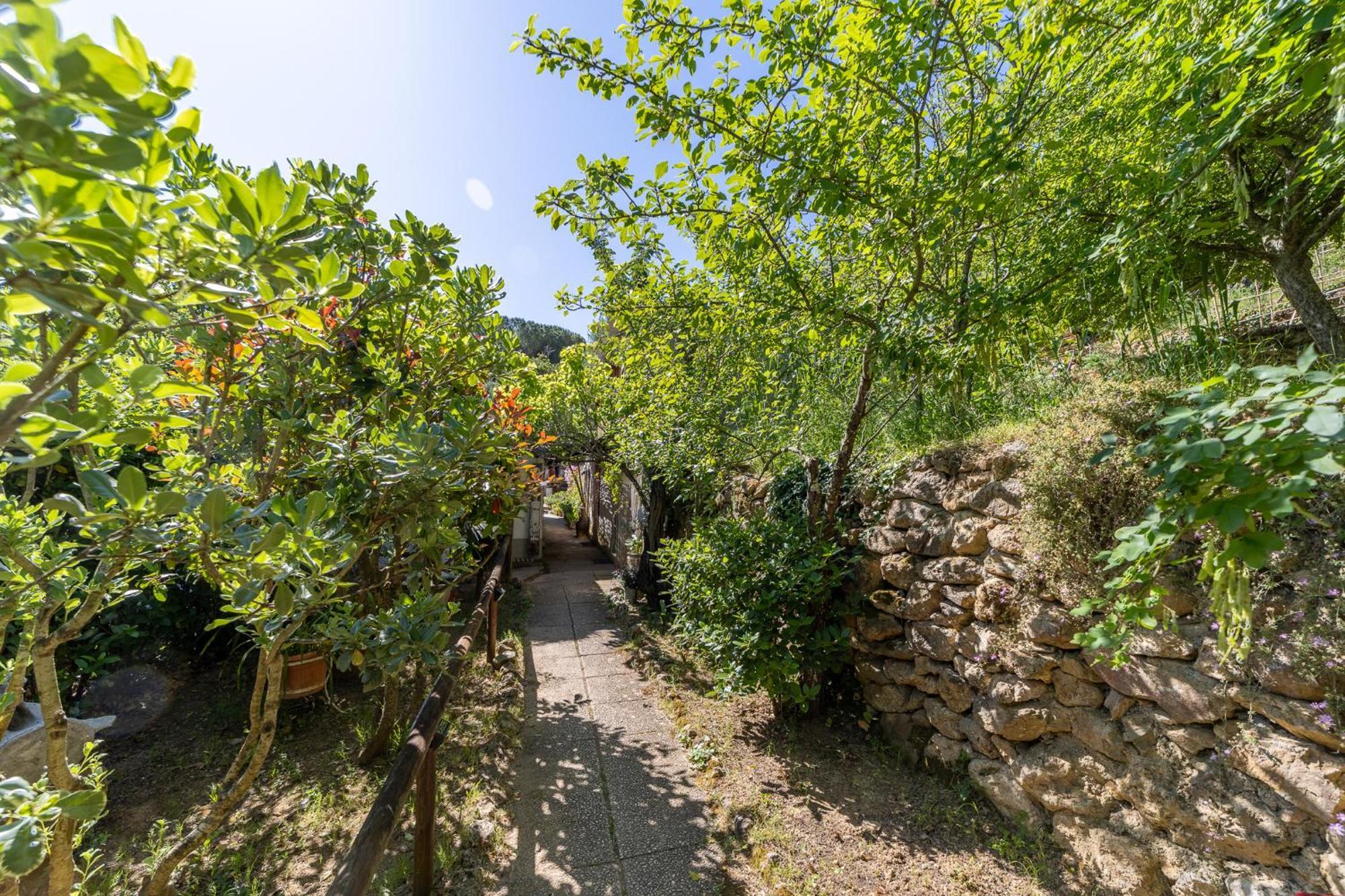 Cottage Pura Vigna Immerso Nella Natura Vicino Al Mare Porto Santo Stefano  Eksteriør billede