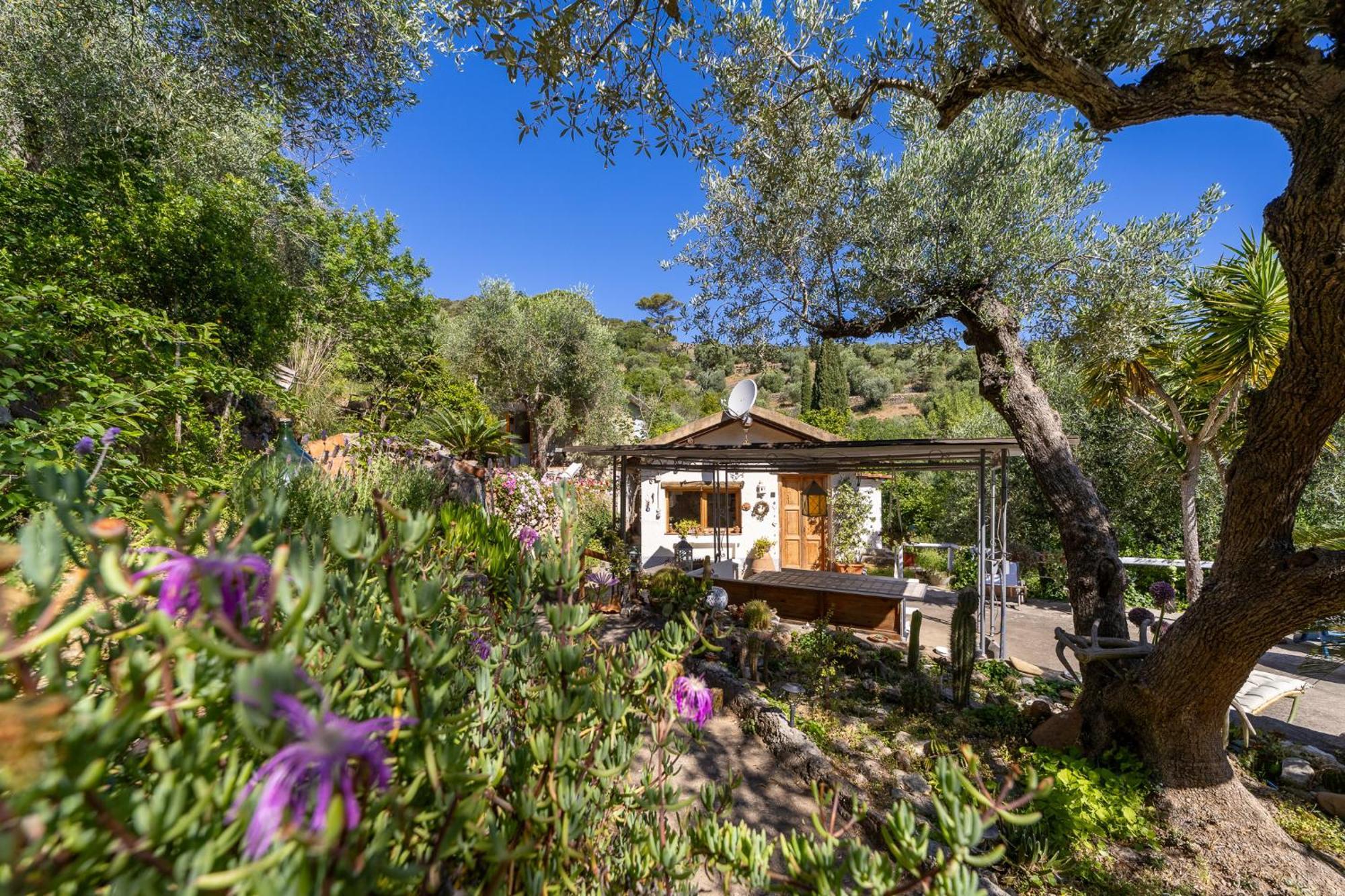 Cottage Pura Vigna Immerso Nella Natura Vicino Al Mare Porto Santo Stefano  Eksteriør billede