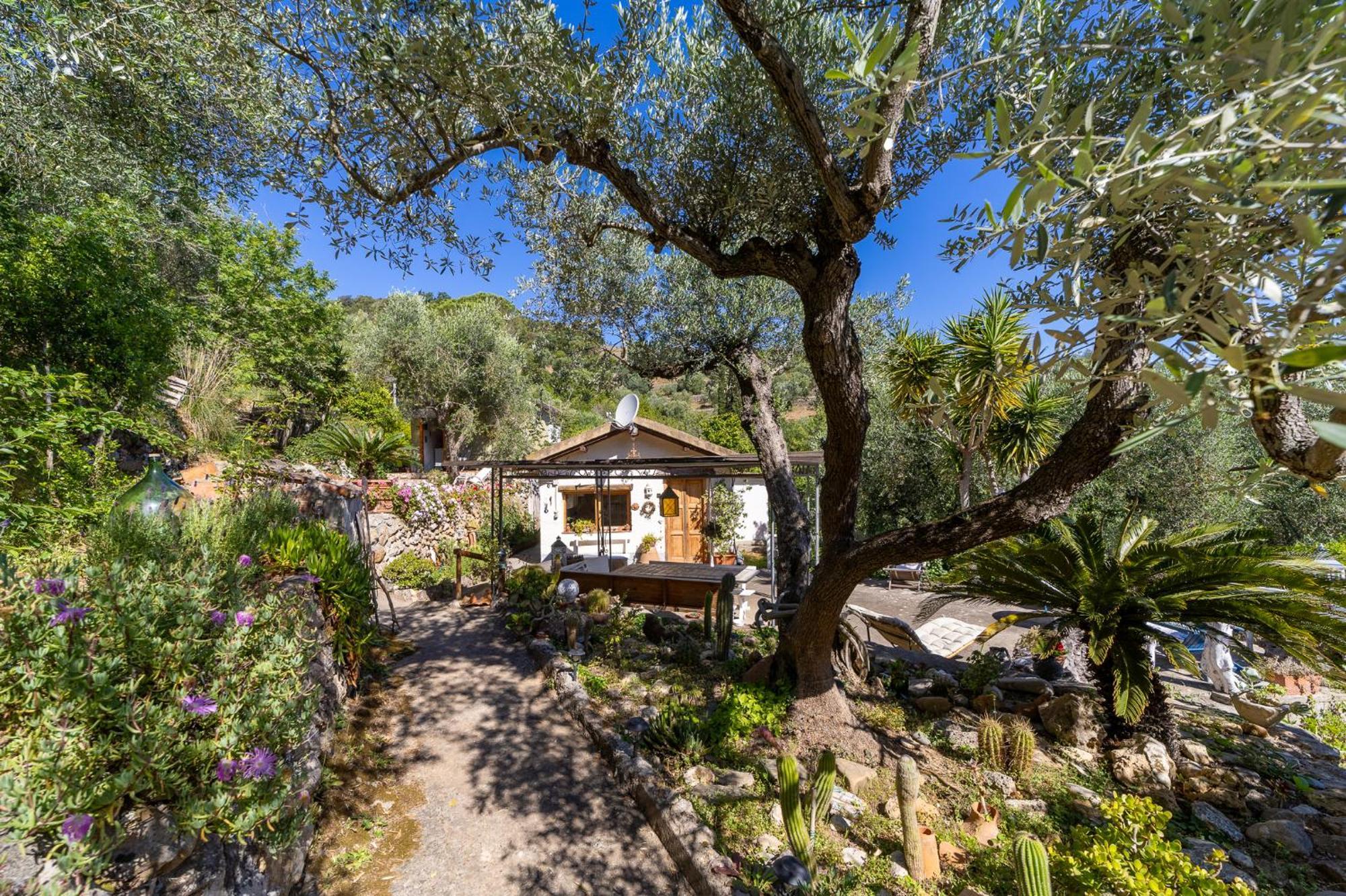 Cottage Pura Vigna Immerso Nella Natura Vicino Al Mare Porto Santo Stefano  Eksteriør billede